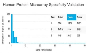 Analysis of HuProt(TM) microarray containing more than 19,000 full-length human proteins using SPIC 