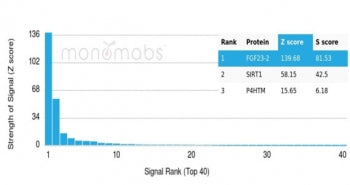 Analysis of a HuProt(TM) microarray containing more than 19,000 full-length human proteins using FGF