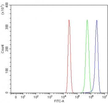 RNF216 Antibody / TRIAD3