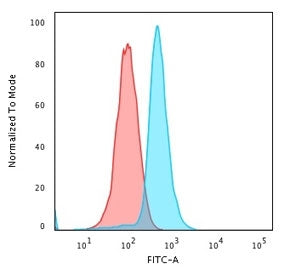 BCL10 Antibody
