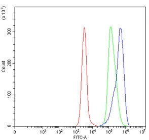 Flow cytometry testing of human Daudi cells with L1RE1 antibody at 1ug/million cells (blocked with g