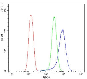 LGI1 Antibody