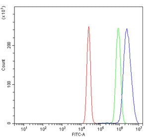 PROX1 Antibody