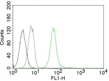 Flow cytometry testing of permeabilized Jurkat cells with Vimentin antibody (clone VM452, green), ce