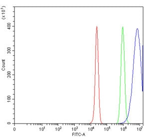 Flow cytometry testing of human HepG2 cells with ACAT2 antibody at 1ug/million cells (blocked with goat sera); Red=cells alone, Green=isotype control, Blue= ACAT2 antibody.