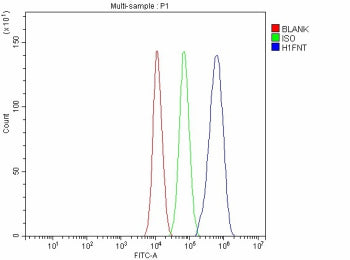 Flow Cytometry analysis of JK cells using anti-H1-7 antibody. Overlay histogram showing JK cells sta