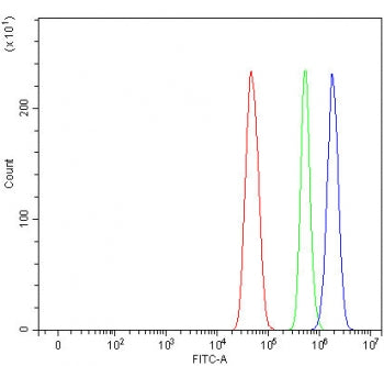 Flow cytometry testing of fixed and permeabilized human U-251 cells with EMP antibody at 1ug/million