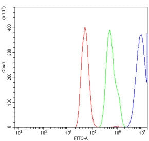 Flow cytometry testing of human SiHa cells with CEBP Delta antibody at 1ug/million cells (blocked wi