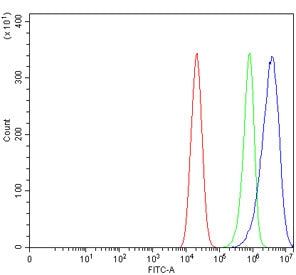 ZNF609 Antibody / KIAA0295