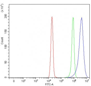 Flow cytometry testing of fixed and permeabilized human HeLa cells with MYO6 antibody at 1ug/million