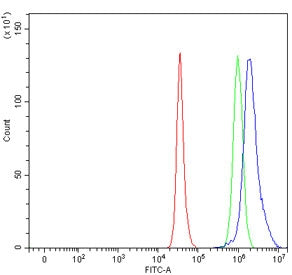 Flow cytometry testing of human HepG2 cells with RPL5 antibody at 1ug/million cells (blocked with go