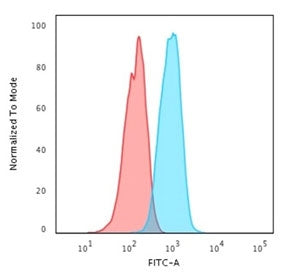 HER2 Antibody / ErbB2