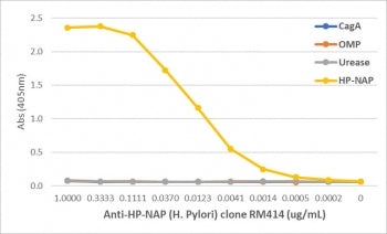 An ELISA of Helicobacter Pylori proteins using recombinant H pylori NAP antibody. The plate was coat
