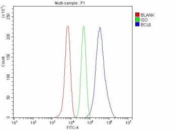 Flow Cytometry analysis of Raji cells using anti-BCL6 antibody. Overlay histogram showing Raji cells
