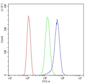 Flow cytometry testing of human SiHa cells with Isocitrate Dehydrogenase 2 antibody at 1ug/million c