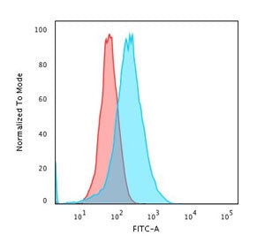 Flow cytometry testing of human U-87 MG cells with CD73 antibody (clone CDLA73-1); Red=isotype contr