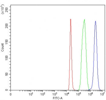 Flow cytometry testing of fixed and permeabilized human 293T cells with LONRF2 antibody at 1ug/milli