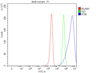 Flow Cytometry analysis of HepG2 cells using anti-IFI30 antibody. Overlay histogram showing HepG2 ce