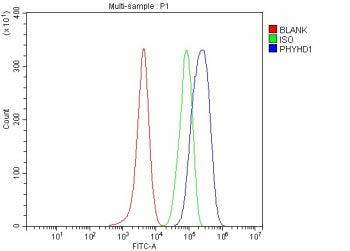 Flow Cytometry analysis of Hela cells using anti-PHYHD1 antibody. Overlay histogram showing Hela cel