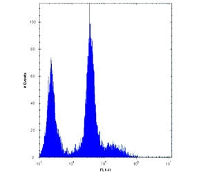 PDGFRA antibody flow cytometric analysis of U251 cells (right histogram) compared to a negative cont