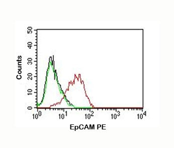 EpCAM Antibody