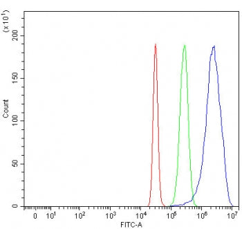 SMOC1 Antibody / SPARC-related modular calcium-binding protein 1