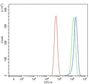 Flow cytometry testing of fixed and permeabilized human U-87 MG cells with NDUFA8 antibody at 1ug/mi
