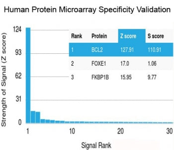 Analysis of HuProt(TM) microarray containing more than 19,000 full-length human proteins using recom