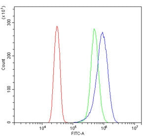 Flow cytometry testing of human SiHa cells with SOCS3 antibody at 1ug/million cells (blocked with go