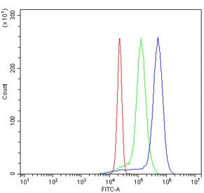 SCAP2 Antibody / SKAP2 / PRAP