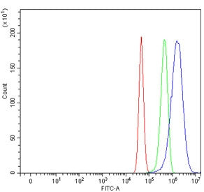 Flow cytometry testing of human U-87 MG cells with CBL antibody at 1ug/million cells (blocked with g