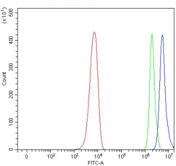 PDS5B Antibody / AS3
