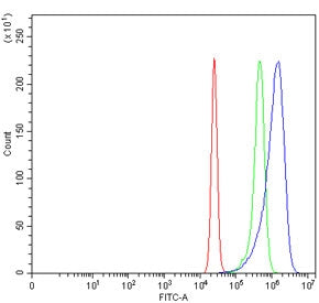 Flow cytometry testing of human K562 cells with TPI1 antibody at 1ug/million cells (blocked with goa