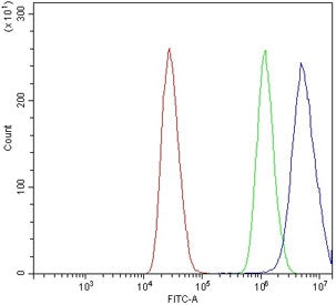 Flow cytometry testing of human MCF7 cells with ZIC3 antibody at 1ug/million cells (blocked with goa