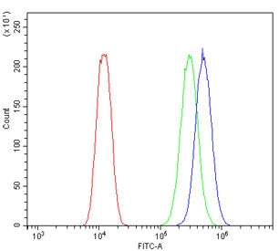 Flow cytometry testing of human U-2 OS cells with B7H4 antibody at 1ug/million cells (blocked with g