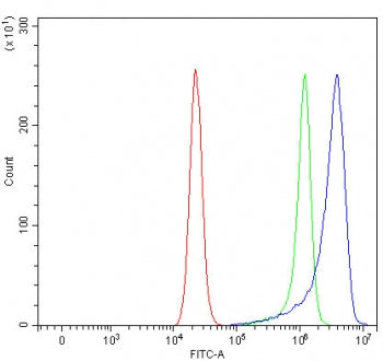 Flow cytometry testing of fixed and permeabilized human RT4 cells with OVGP1 antibody at 1ug/million