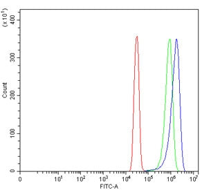 Flow cytometry testing of human SiHa cells with Carboxypeptidase O antibody at 1ug/million cells (blocked with goat sera); Red=cells alone, Green=isotype control, Blue= Carboxypeptidase O antibody.