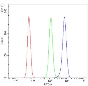 Flow cytometry testing of mouse RAW264.7 cells with CMBL antibody at 1ug/million cells (blocked with
