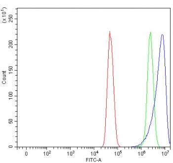 Flow cytometry testing of fixed and permeabilized human U-251 cells with NHLRC2 antibody at 1ug/mill