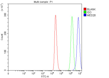 Flow Cytometry analysis of THP-1 cells using anti-MED28 antibody. Overlay histogram showing THP-1 ce