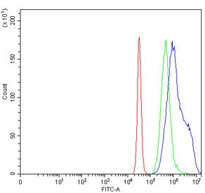 SEPT5 Antibody / Septin 5