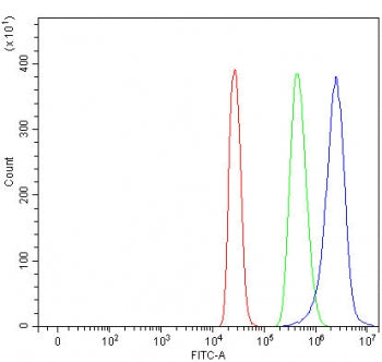 PPP1R14C Antibody / KEPI