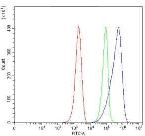 Flow cytometry testing of mouse ANA-1 cells with CD80 antibody at 1ug/million cells (blocked with go