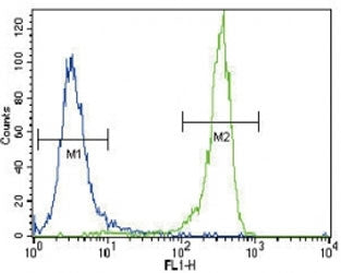 FGFR2 antibody flow cytometric analysis of NCI-H460 cells (right histogram) compared to a negative c