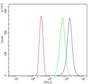 Flow cytometry testing of human U-2 OS cells with NRXN3 antibody at 1ug/million cells (blocked with 