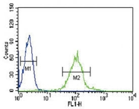 IRF8 antibody flow cytometric analysis of HL-60 cells (green) compared to a negative control (blue).