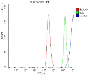 Flow Cytometry analysis of HepG2 cells using anti-GGA2 antibody. Overlay histogram showing HepG2 cel