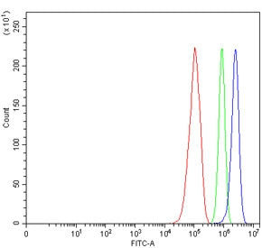 CD83 Antibody