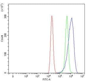 Flow cytometry testing of human ThP-1 cells with SLC6A3 antibody at 1ug/million cells (blocked with 