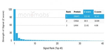 Analysis of a HuProt(TM) microarray containing more than 19,000 full-length human proteins using NC2